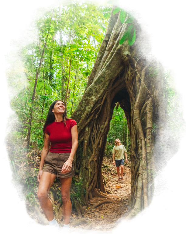 Walking under a tree Arch